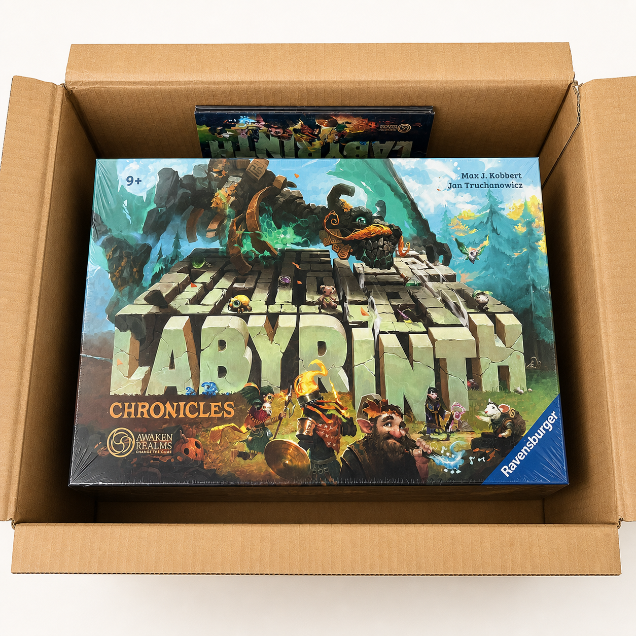 Labyrinth Chronicles All-In en español, caja principal dentro del paquete de envío