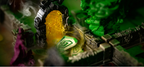 Labyrinth Chronicles All-in Sundrop, tablero con puertas y elementos 3D